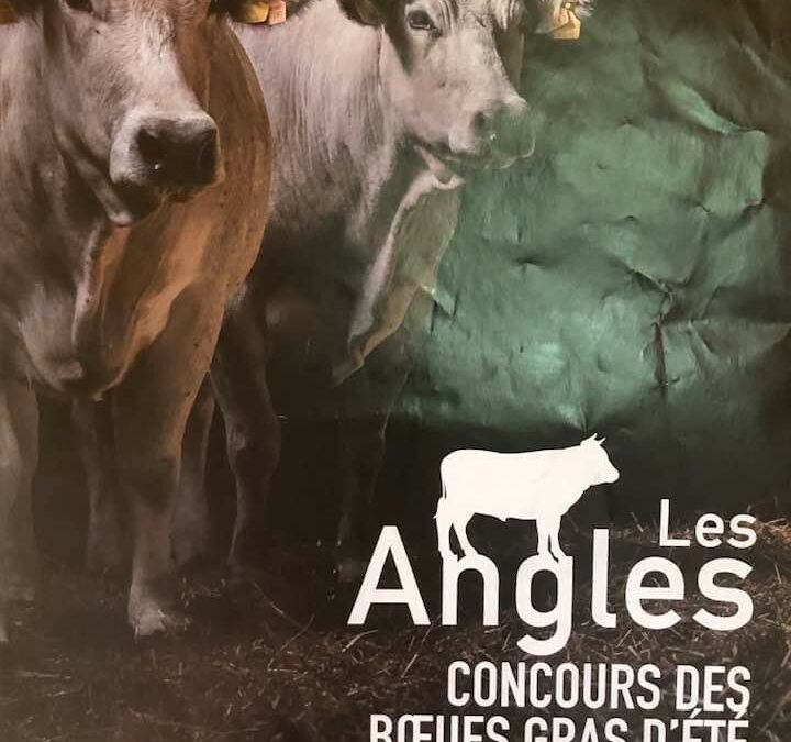 FOIRE AUX BESTIAUX