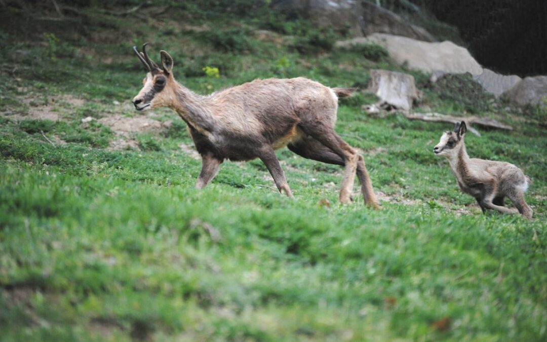 SORTIE NATURE
