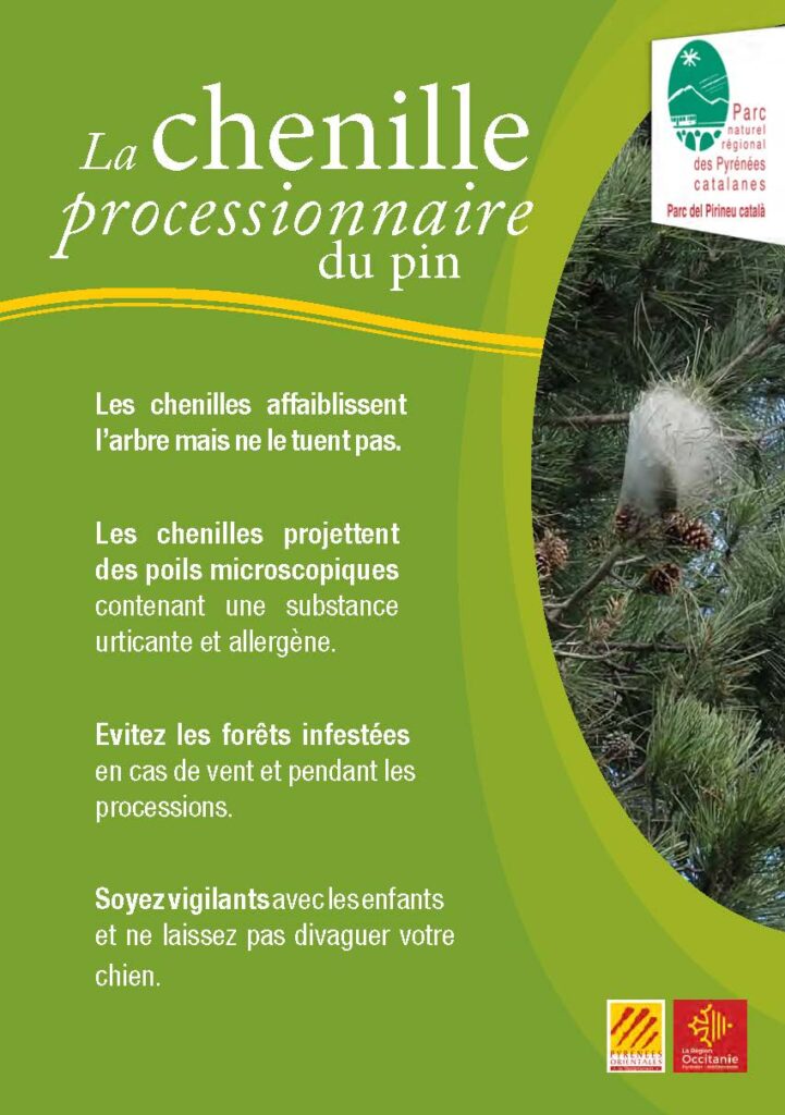 chenilles processionnaires Flyer2023 Page 1 721x1024
