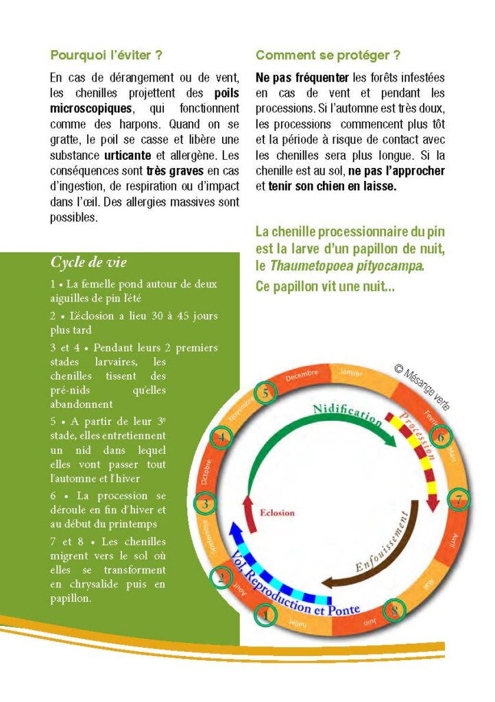chenilles processionnaires Flyer2023 Page 2 722x1024